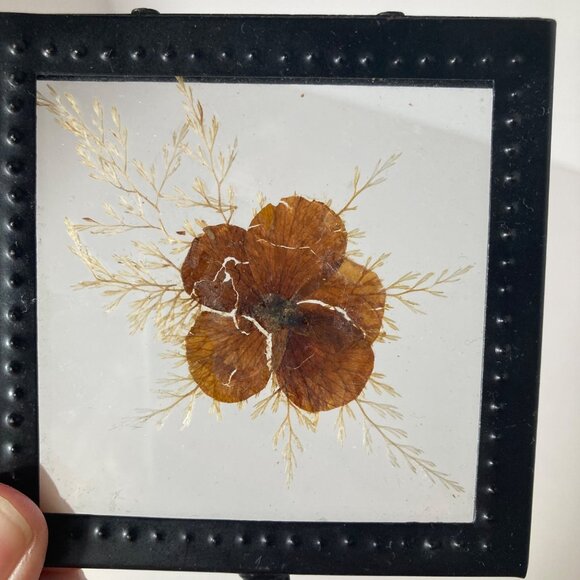 Vintage Wall Hook Pressed Flower in Glass Metal Frame 3.5 x 6" - Picture 5 of 6